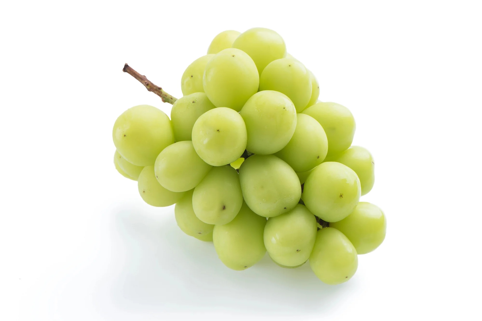 صورة المنتج