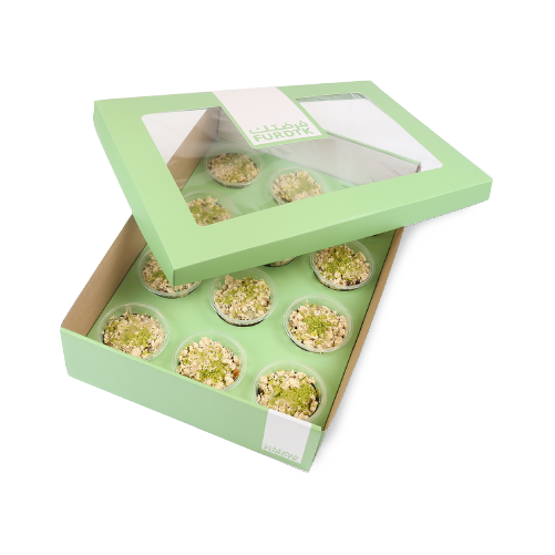 Sukkari Dates With Rahash Mix Box