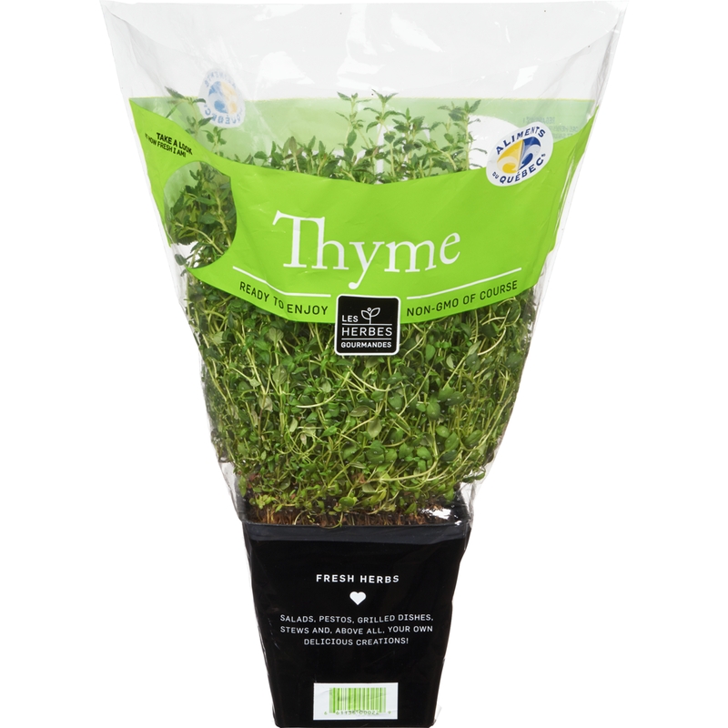 Thyme