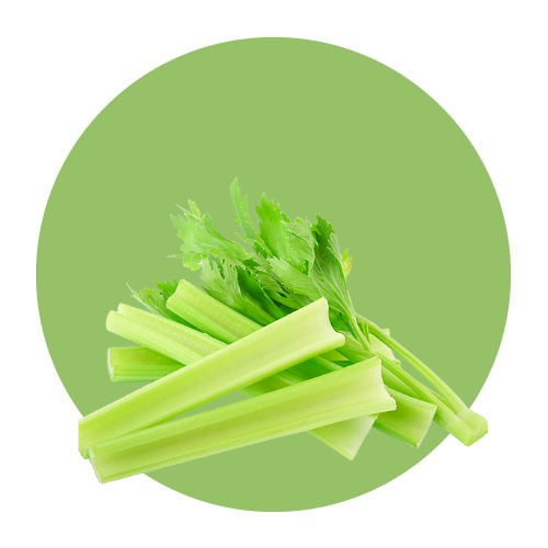 Vegetables / Celery