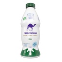 Camelicious Plain Laban 1Ltr 