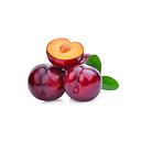 Red Plum [Spain]