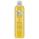 Sparkling Ice Coconut Pineapple 