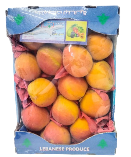 Red Apricot Air Cargo [Lebanon]