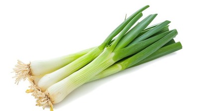 Leeks [Netherlands]