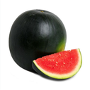 Watermelon Seedless [Turkey]