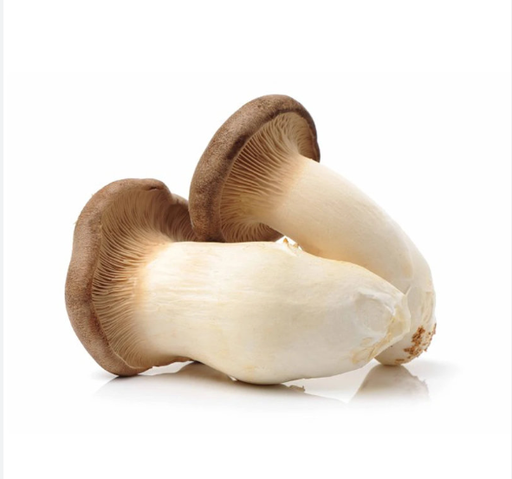 King Oyster Mushroom [China]