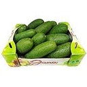 Baby Avocado Air cargo [Lebanon]
