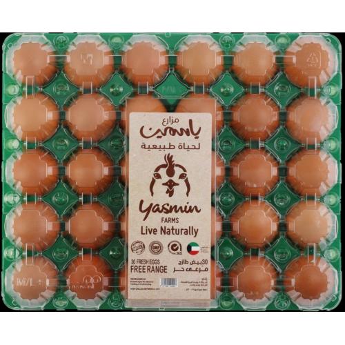 Yasmin Farms Eggs Free Range Brown, 30 Pieces [Kuwait]