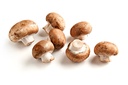 Brown Mushroom [Qatar]
