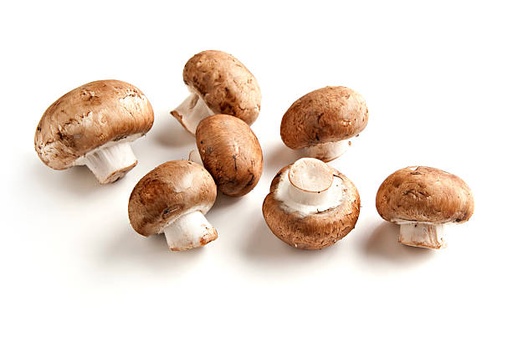Brown Mushroom [Qatar]
