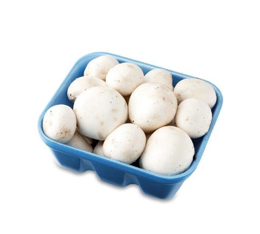 White Mushroom [Qatar]